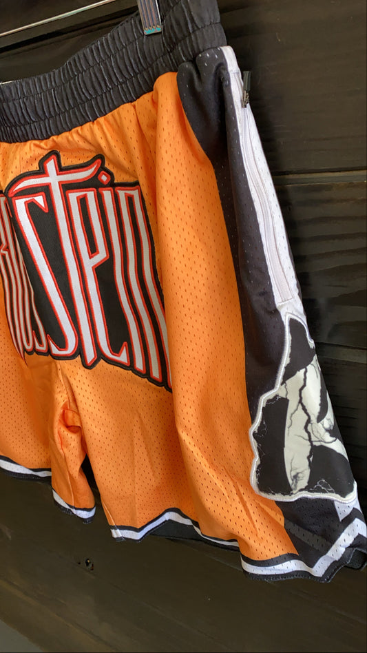 Rosstein kick boxing shorts